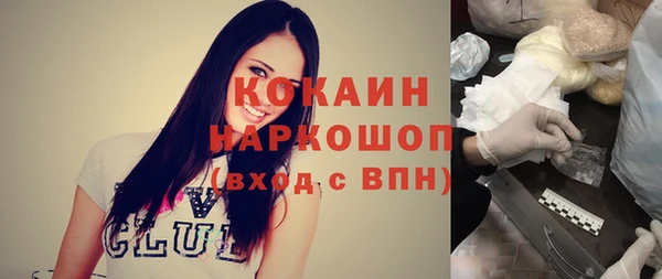 индика Баксан