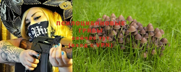 индика Баксан