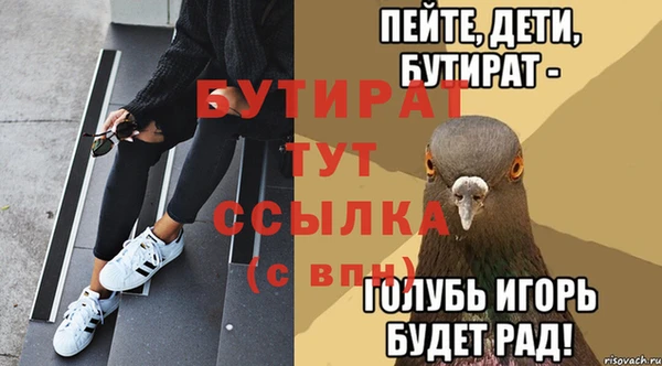 индика Баксан