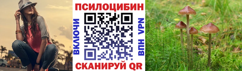 Галлюциногенные грибы Cubensis Светлогорск